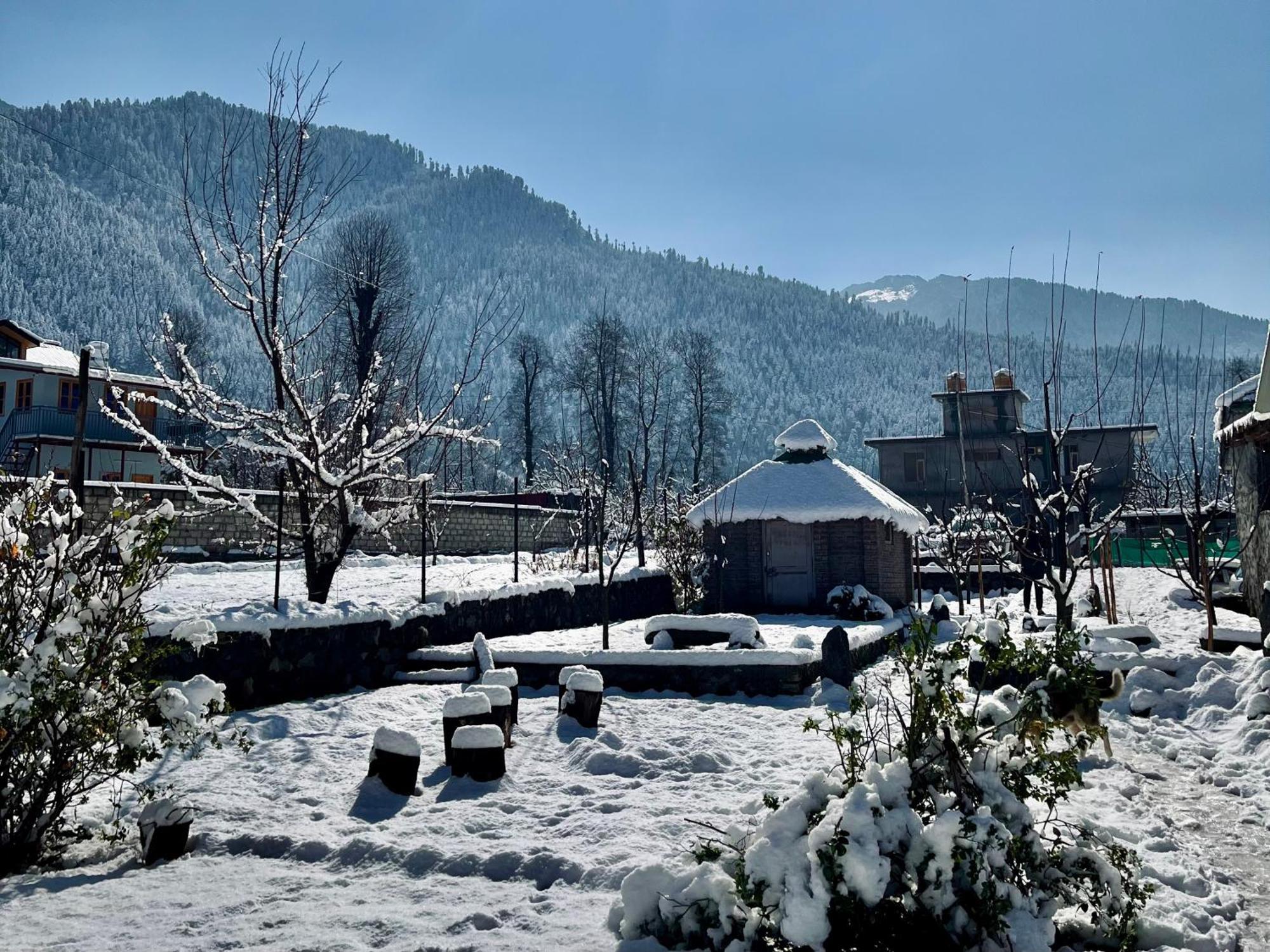 Fluestern Hostel And Cafe Nagar  外观 照片